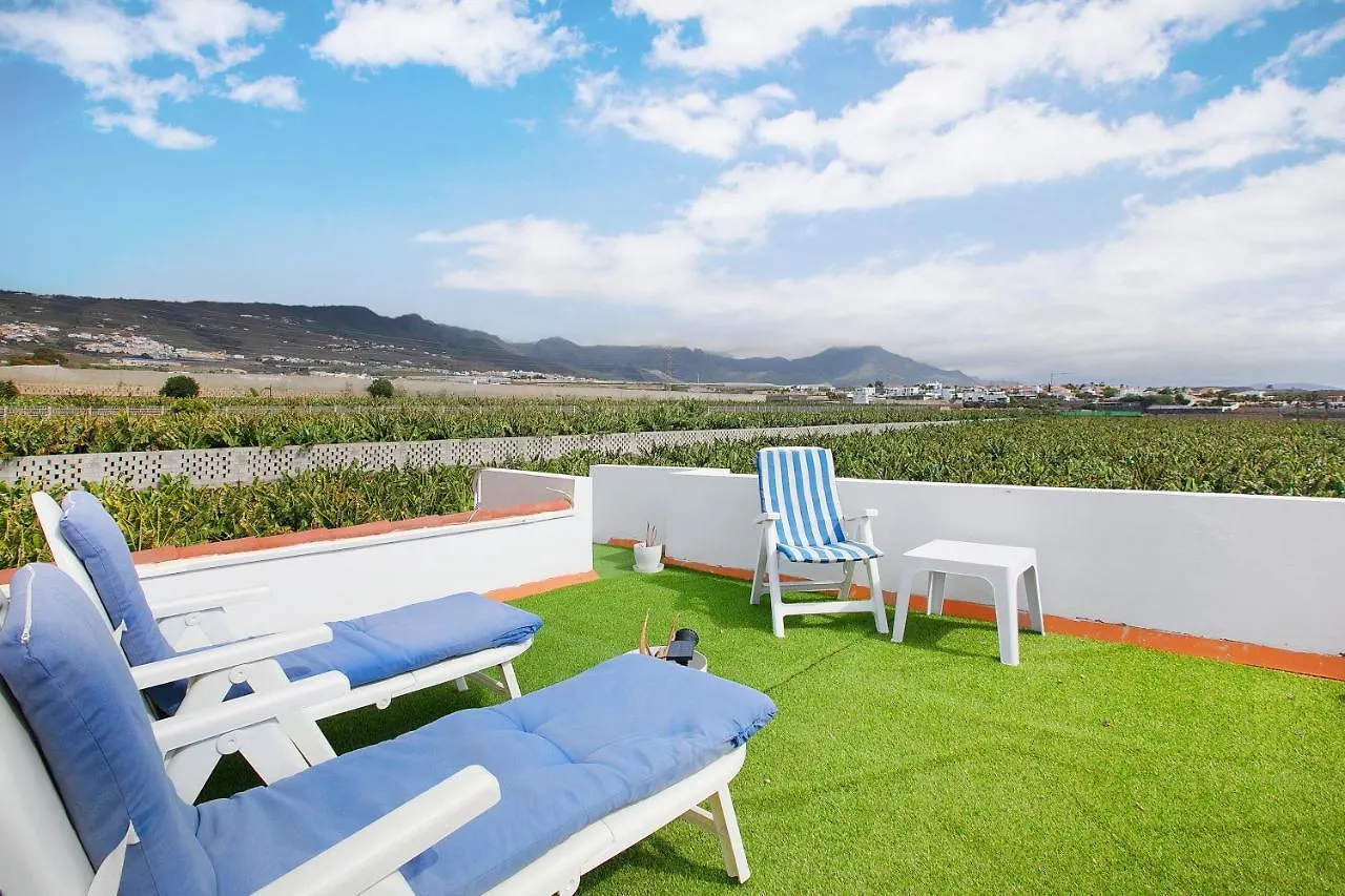 Villa Biofinca Costa Adeje  Costa Adeje (Tenerife)